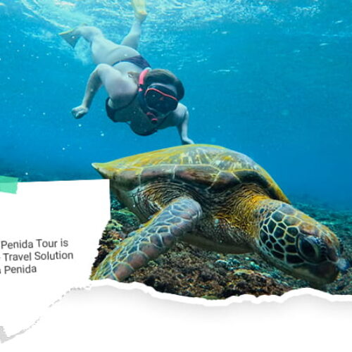 Artikel PT Asaka Penida Tour 2
