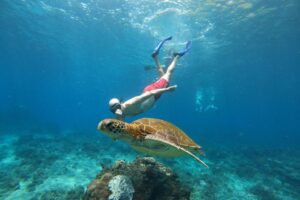From Bali Manta Point Snorkeling 3-Spot + Lunch & Pickup (16)