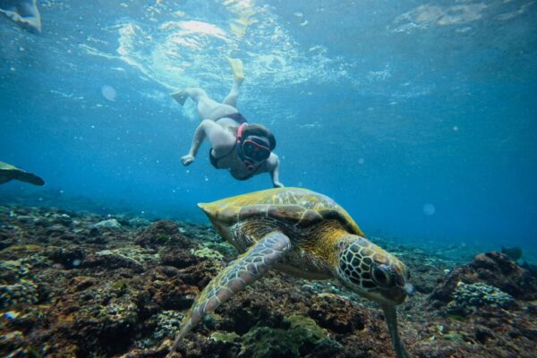 From Bali Manta Point Snorkeling 3-Spot + Lunch & Pickup (17)
