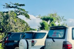 From Bali Manta Point Snorkeling 3-Spot + Lunch & Pickup (18)