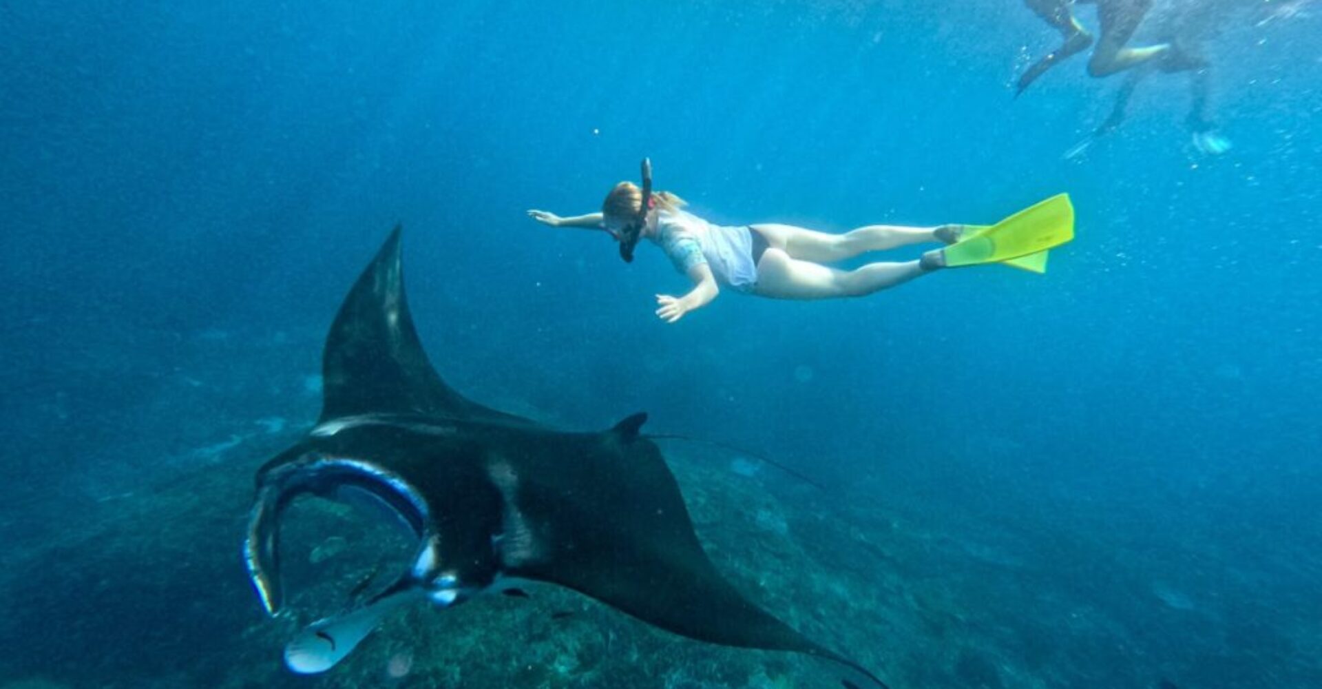 From Bali Manta Point Snorkeling 3-Spot + Lunch & Pickup (20) From Bali Manta Point Snorkeling 3-Spot + Lunch & Pickup (20)