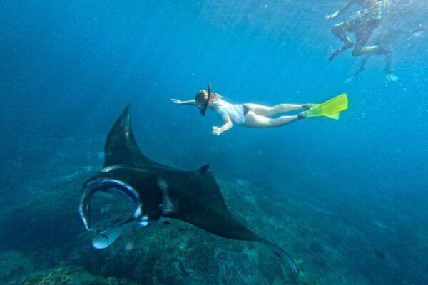 From Bali Manta Point Snorkeling 3-Spot + Lunch & Pickup (20)