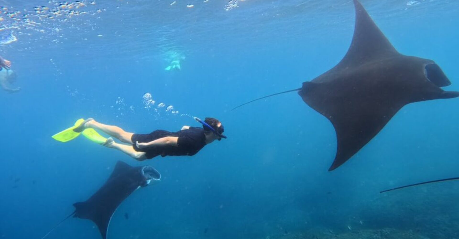 Nusa Penida Snorkeling Adventure 3-Spots with Manta Rays (1) Nusa Penida Snorkeling Adventure 3-Spots with Manta Rays (1)