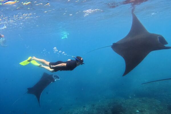 Nusa Penida Snorkeling Adventure 3-Spots with Manta Rays (1)
