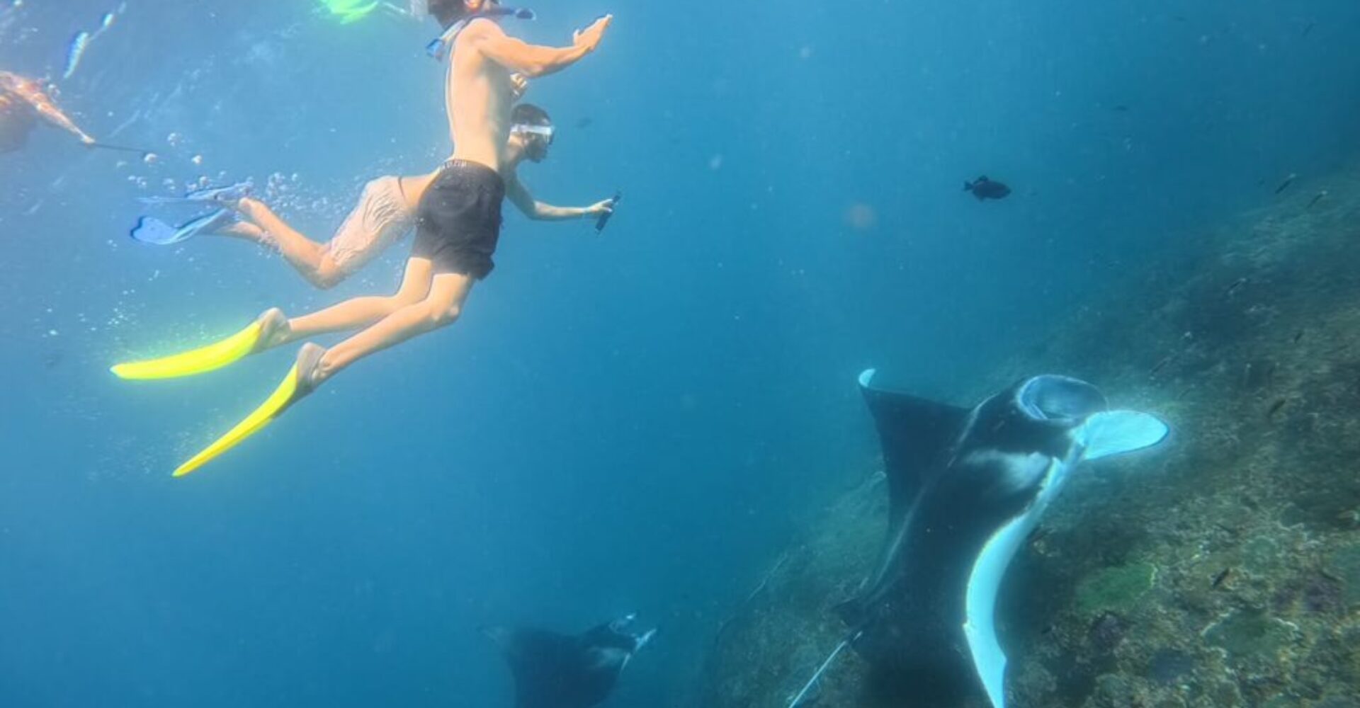 Nusa Penida Snorkeling Adventure 3-Spots with Manta Rays (10) Nusa Penida Snorkeling Adventure 3-Spots with Manta Rays (10)