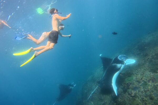 Nusa Penida Snorkeling Adventure 3-Spots with Manta Rays (10)