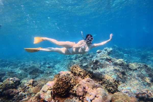 Nusa Penida Snorkeling Adventure 3-Spots with Manta Rays (12)