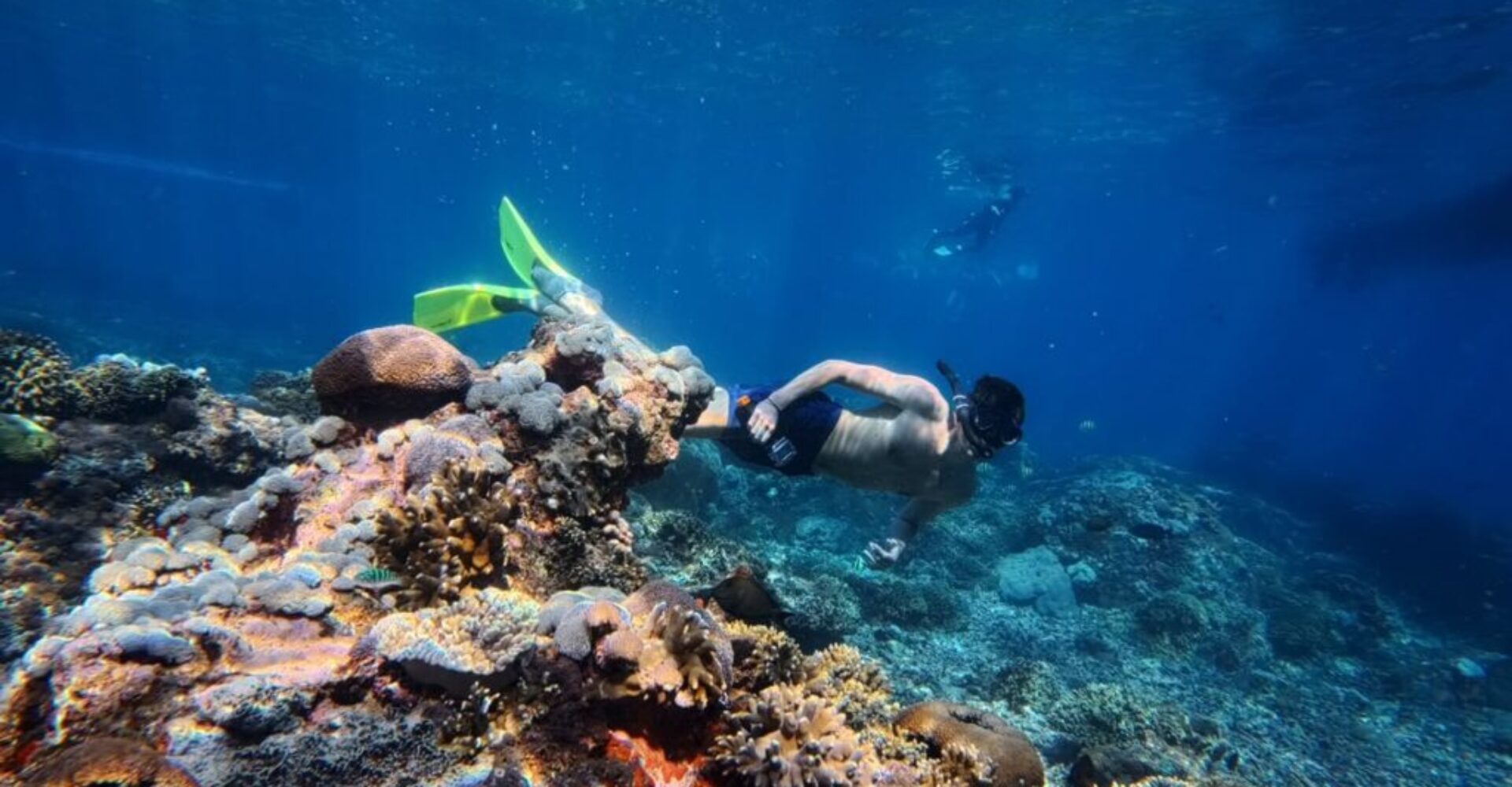 Nusa Penida Snorkeling Adventure 3-Spots with Manta Rays (15) Nusa Penida Snorkeling Adventure 3-Spots with Manta Rays (15)