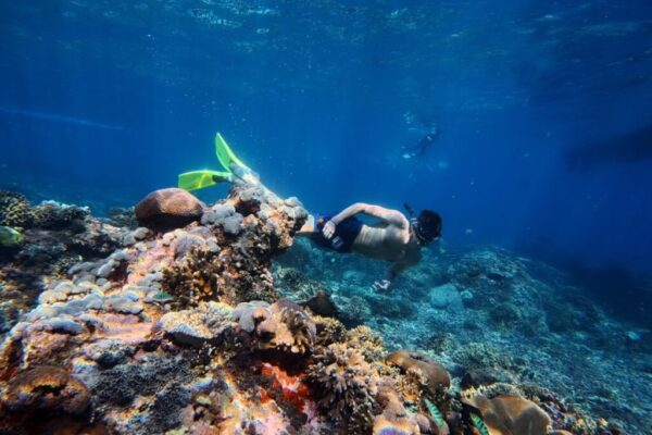 Nusa Penida Snorkeling Adventure 3-Spots with Manta Rays (15)