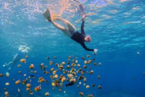 Nusa Penida Snorkeling Adventure 3-Spots with Manta Rays (20)