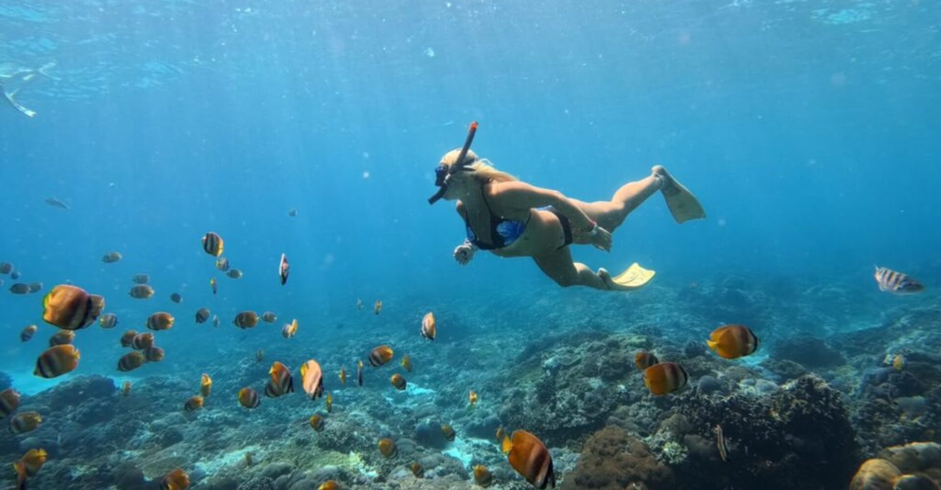 Nusa Penida Snorkeling Adventure 3-Spots with Manta Rays (21) Nusa Penida Snorkeling Adventure 3-Spots with Manta Rays (21)