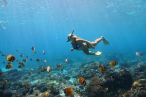 Nusa Penida Snorkeling Adventure 3-Spots with Manta Rays (21)
