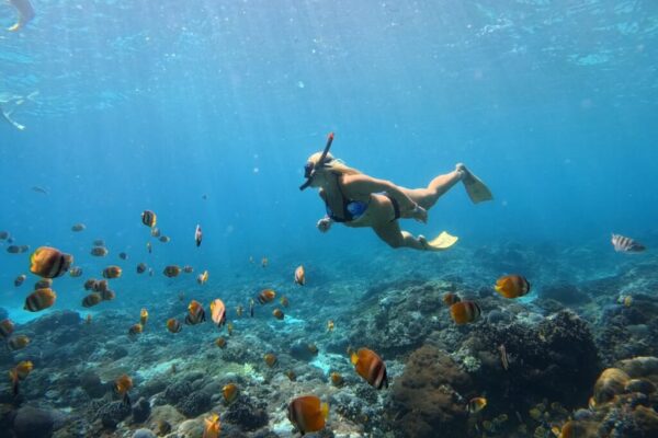 Nusa Penida Snorkeling Adventure 3-Spots with Manta Rays (21)