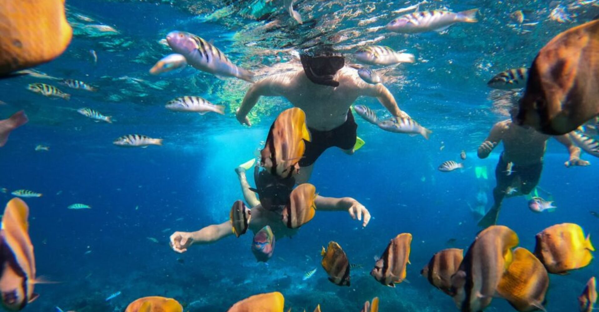 Nusa Penida Snorkeling Adventure 3-Spots with Manta Rays (25) Nusa Penida Snorkeling Adventure 3-Spots with Manta Rays (25)