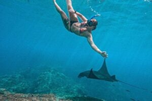 Nusa Penida Snorkeling Adventure 3-Spots with Manta Rays (26)