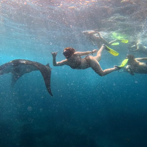 Nusa Penida Snorkeling Adventure 3-Spots with Manta Rays (4)