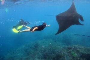 Nusa Penida Snorkeling Adventure 3-Spots with Manta Rays (5)