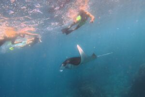 Nusa Penida Snorkeling Adventure 3-Spots with Manta Rays (6)