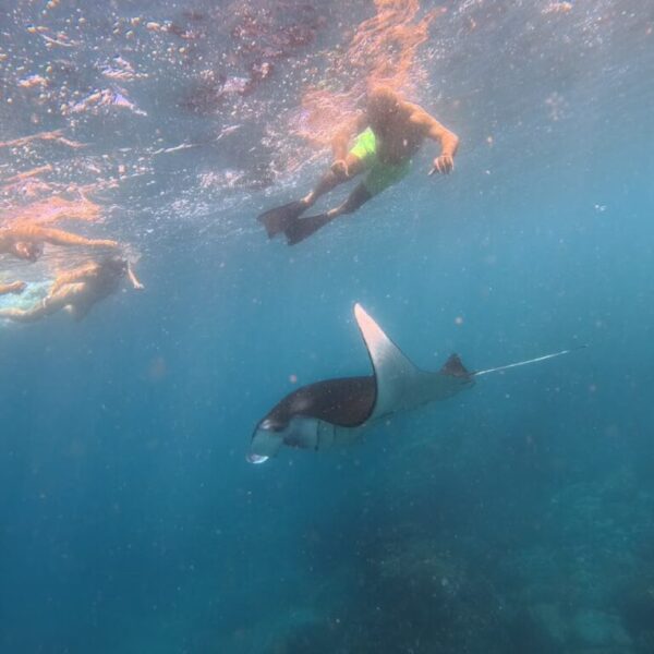 Nusa Penida Snorkeling Adventure 3-Spots with Manta Rays (6)