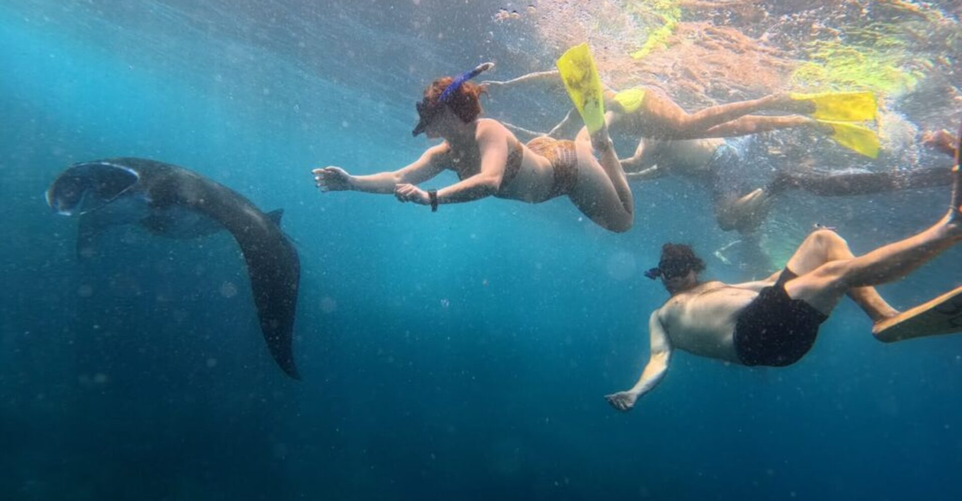 Nusa Penida Snorkeling Adventure 3-Spots with Manta Rays (7) Nusa Penida Snorkeling Adventure 3-Spots with Manta Rays (7)