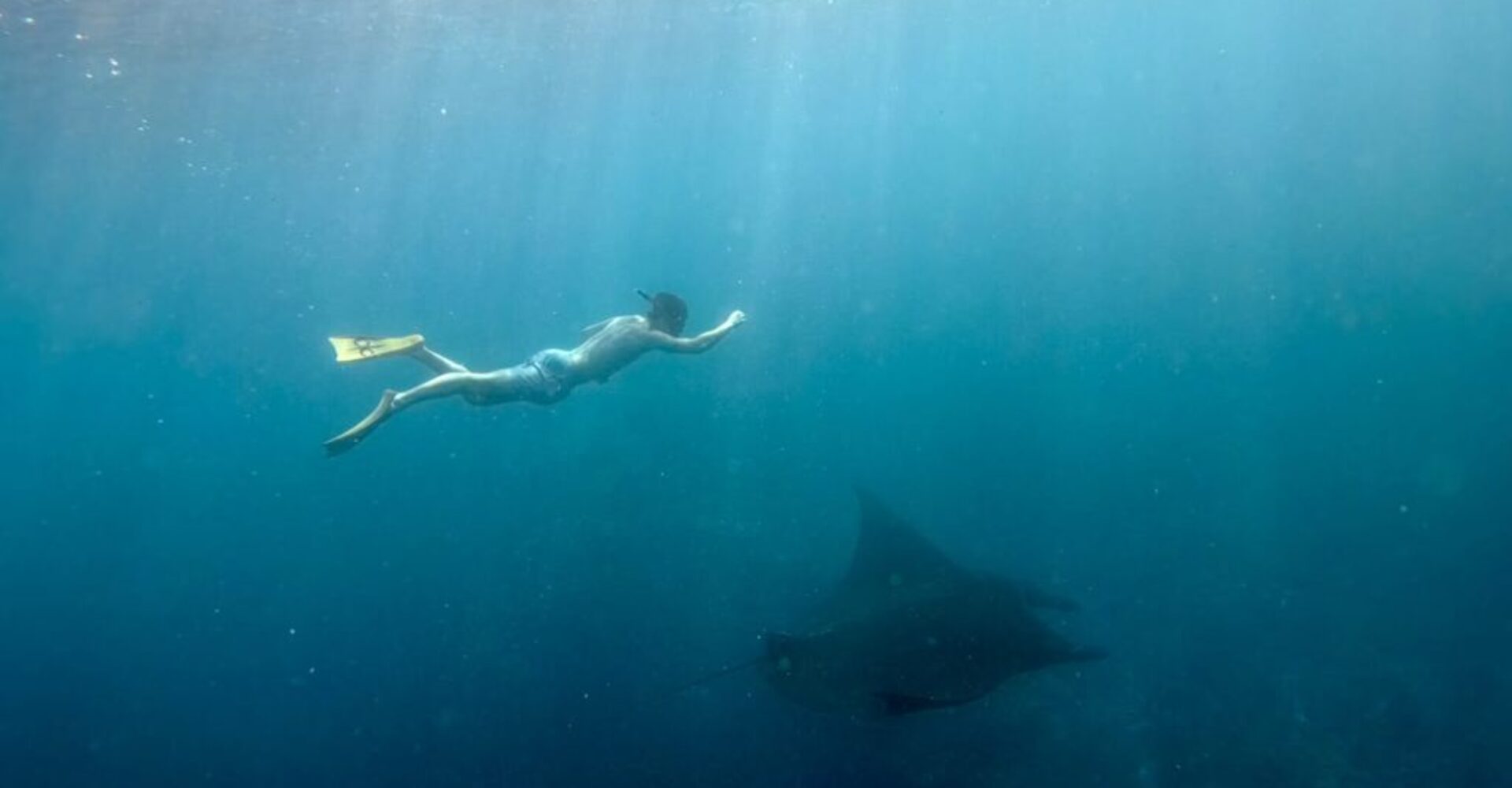 Nusa Penida Snorkeling Adventure 3-Spots with Manta Rays (8) Nusa Penida Snorkeling Adventure 3-Spots with Manta Rays (8)
