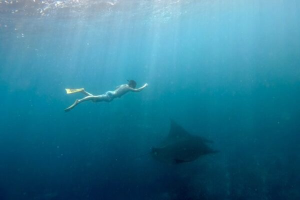 Nusa Penida Snorkeling Adventure 3-Spots with Manta Rays (8)