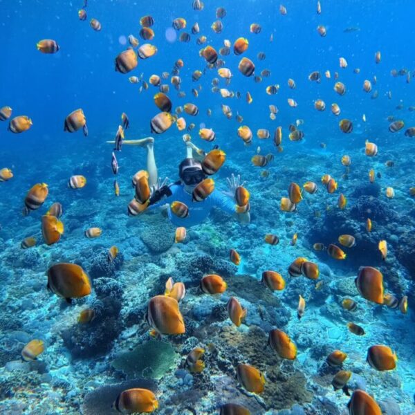 Nusa Penida Snorkeling Adventure 3-Spots with Manta Rays (9)