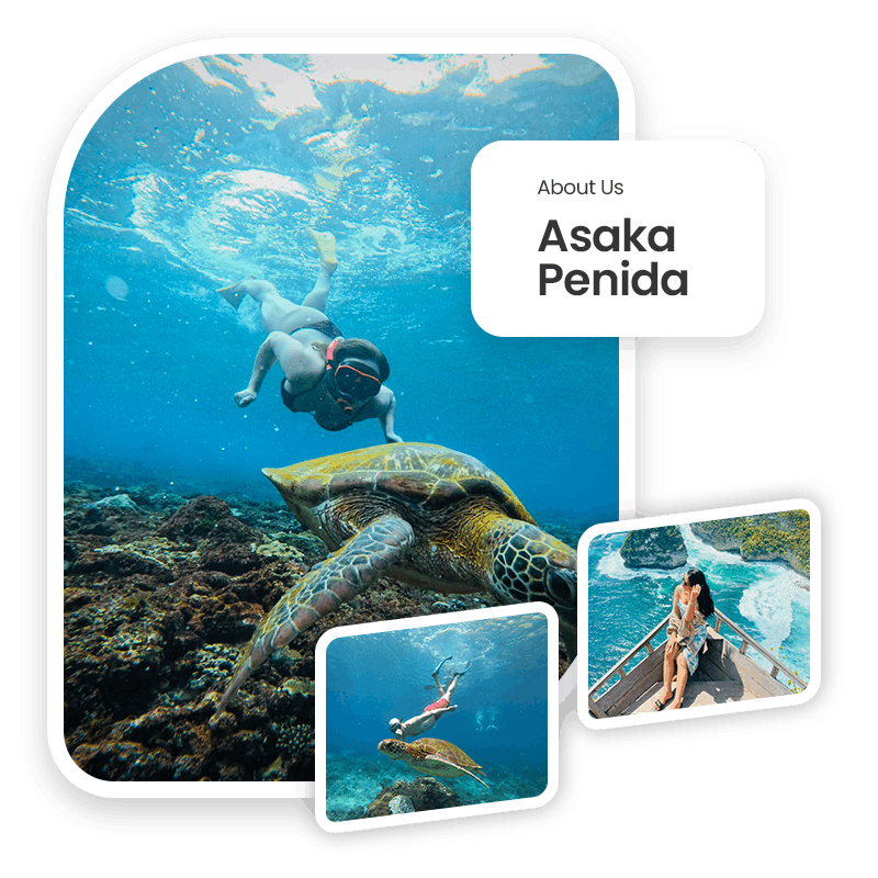 Profil PT Asaka Penida Tour