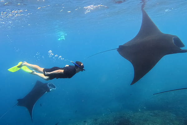 Nusa Penida: Snorkeling Adventure 3-Spots with Manta Rays