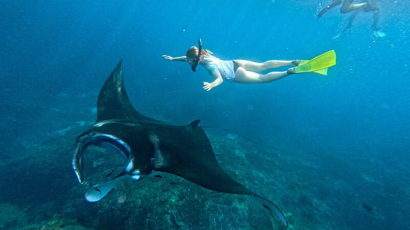 Tour Package PT Asaka Penida Tour 2