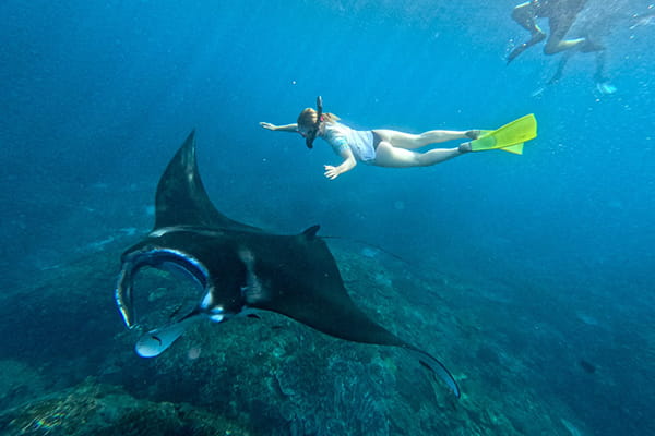 From Bali: Manta Point Snorkeling 3-Spot + Lunch & Pickup